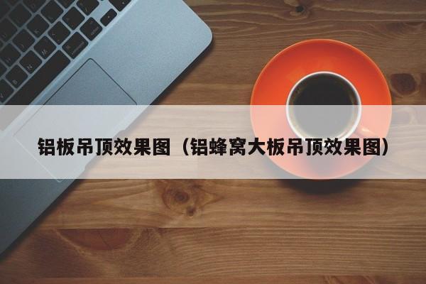 铝板吊顶效果图（铝蜂窝大板吊顶效果图）