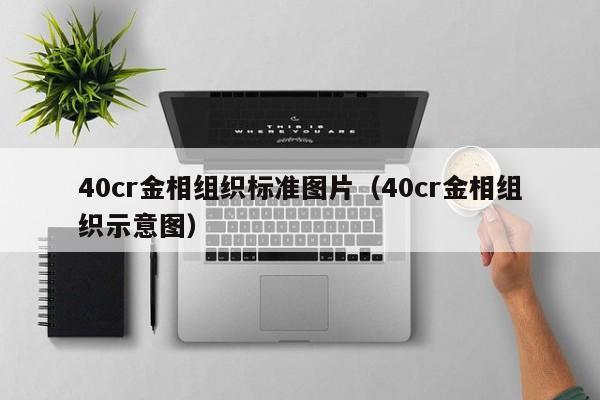 40cr金相组织标准图片（40cr金相组织示意图）